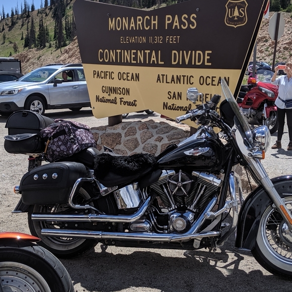 Meet your Posher, Donna - Picture 2 of 2